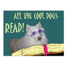 Library - Samoyed - Cool Dogs Read Literacy Post Cards