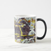 Lichens On Rock No. 3 Coffee Mugs
