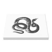 Lienzo diseño serpiente lona envuelta para galerías