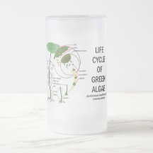 Life Cycle Of Green Algae Mug