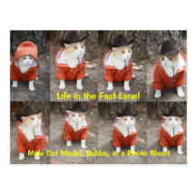 Life in the Fast Lane! Postcards