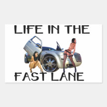 LIFE IN THE FAST LANE STICK RECTANGLE STICKERS
