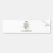 Life Is A Renal Existence (Kidney Nephron) Bumper Stickers