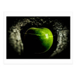 life on the apple postcard