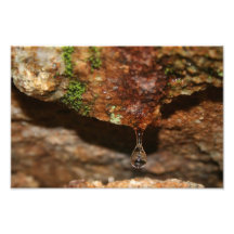Life Photo