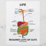 Life Requires Lots Of Guts (Digestive System) Flyer