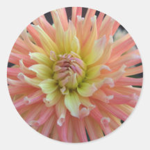Light Dahlia Stickers