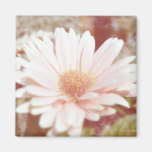 Light Pink Gerbera Daisy Magnet