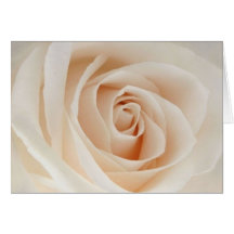 Light Pink Rose Greeting Card