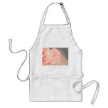 Light pink rose reflection in silver apron