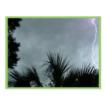 Lightning Strike In Tampa Fl, Post Card