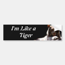Like A Tiger Bumper Stickers