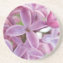 Lilac Bloom In Early Spring Drink Coaster