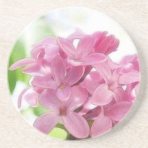 Lilac Flowers In The Morning Sunlight Drink Coaster