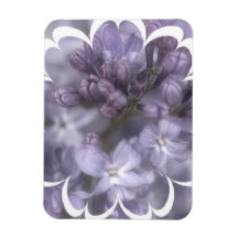 Lilac Flowers Premium Magnet
