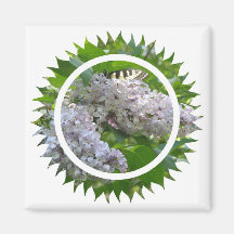 Lilac Square Magnet