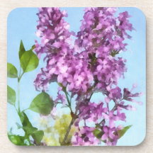Lilacs Against the Sky Coasters