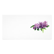 Lilacs in Sunshine Customised Photo Card