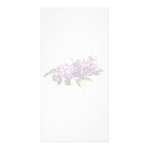 Lilacs in Sunshine Personalized Photo Card