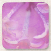 Lilacs Photo with Hearts Design Coasters