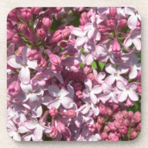 Lilacs  Set of Coasters