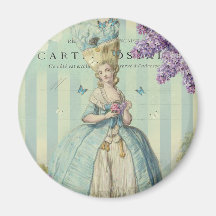 Lilas au printemps fridge magnets