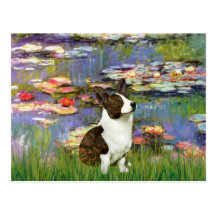 Lilies 2 - Cardigan Welsh Corgi 5 Post Cards
