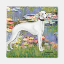 Lilies 2 - White Whippet (11b) Refrigerator Magnets