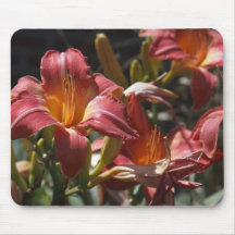 Lillies Mousepads