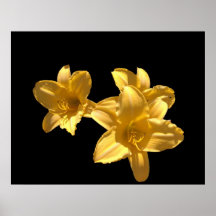 Lillies Poster