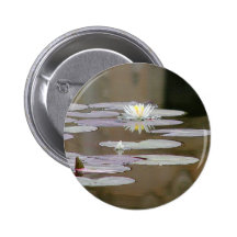 Lilly Lillies Ponds Lillypads Pin