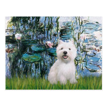 Liloies #1 - Westie 2 Post Cards