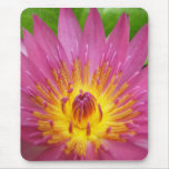 Lily Ablaze Mouse Mat
