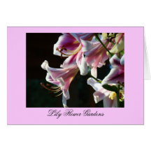 Lily Flower Gardens Greeting Cards Pink Lilies