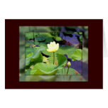 Lily in the Pond Greeting Card