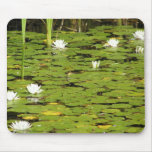 Lily Pad Mouse Pad