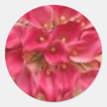 lily_pink_wedding_sticker