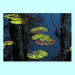 Lily Pond Business Card business cards