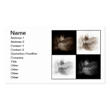 Lily Sepia and Black White Collage Business Card