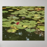 Lilypads #2 Impressionism Art Print