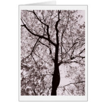 limbs of virtue greeting cards
