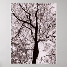 limbs of virtue print