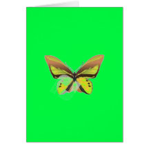 lime green card