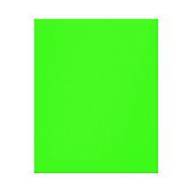 Lime Green Gallery Wrap Canvas