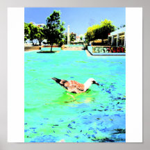 limnipen poster
