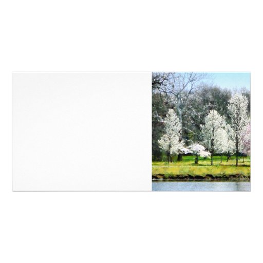Line of Flowering Trees Custom Photo Card