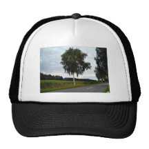 Lining of tree along the road trucker hat