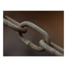 Link in the Chain Photo