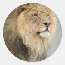 lion art round stickers