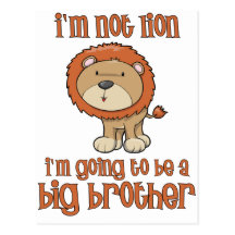lion big brother post card